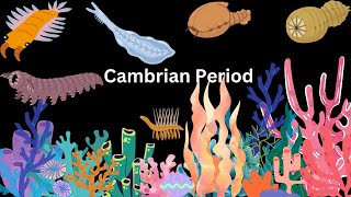 What If You Lived in the Cambrian Period [upl. by Sluiter]