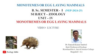 Monotremes Or Egg Laying Mammals  BSc Semester 1  ZOOLOGY  By Dr R K Tamboli [upl. by Utter]