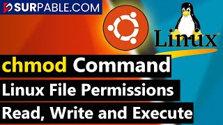 Linux File Permissions  chmod Command in Linux [upl. by Bivins]