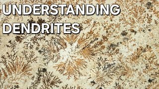 UNDERSTANDING DENDRITES MINERALOGY 🌴 [upl. by Ahrens237]