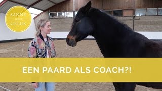 Ik word gecoacht door een paard 🐎 Sanny zoekt Geluk [upl. by Leann]