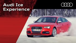 Audi Ice Experience [upl. by Nylzaj385]