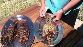 How to devein a Crayfish without using any tools  wwwmiramarbarracoza [upl. by Corenda174]