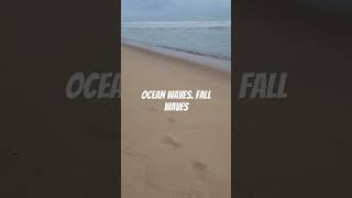 ocean waves Fall ocean asmr [upl. by Nedle]