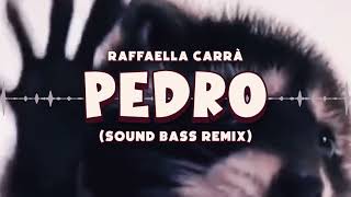 Raffaella Carrà  PEDRO tik tok hit SOUND BASS Remix pedro trendingmusic soundbass [upl. by Erika]