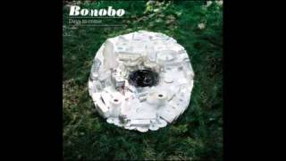 Bonobo  Between The Lines feat Bajka [upl. by Anairda606]