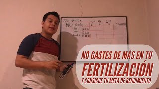 ¿Cómo Calcular fertilización para tu cultivo Nitrógeno fósforo y potasio  Cultivo de maiz [upl. by Thorny]