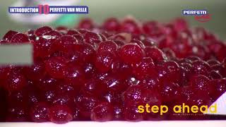 Perfetti Van Melle India Private Limited Factory tour [upl. by Ahsein]