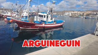 Gran Canaria Arguineguin waterfront and beach view [upl. by Breen]