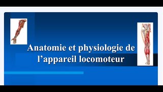 Anatomie et Physiologie de lappareil Locomoteur [upl. by Rammaj]