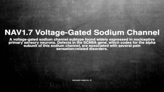 Medical vocabulary What does NAV17 VoltageGated Sodium Channel mean [upl. by Eustache781]