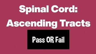 Ascending tracts of Spinal cordEasy mnemonicMemorise within seconds👍🏻 [upl. by Nesyla]