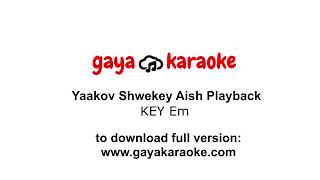 Tadlik Et Aish  Yaakov Shwekey  Karaoke [upl. by Rutra]