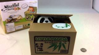 Greedy Panda Stole My Money Panda Bear Piggy Bank Unboxing Mischief Box [upl. by Mihsah]