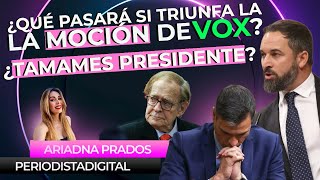 ¿Qué pasará si triunfa la MOCIÓN DE CENSURA de VOX y Ramón TAMAMES sale Presidente [upl. by Enelec]