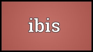 Ibis Meaning [upl. by Ranip42]