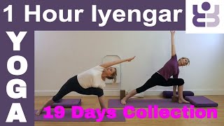 One Hour Iyengar Yoga Class  19 Days of Yoga Collection [upl. by Hteboj]