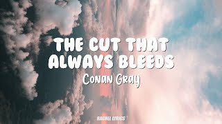 Conan Gray  The Cut That Always Bleeds [upl. by Livingston775]