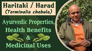 Haritaki  Harad Terminalia chebula  Ayurvedic Properties Health Benefits amp Medicinal Uses [upl. by Hitoshi]