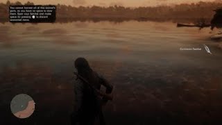 Red Dead Redemption 2  Neotropic Cormorant Location [upl. by Moffat15]