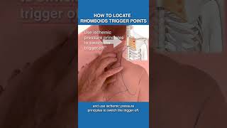 How To Locate Trigger Points In The Rhomboids [upl. by Deden693]