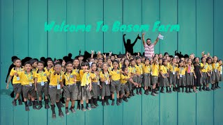 welcome To Bosom Farm ❤️ farmlife bird garden ducksfarm duck farming duckslife [upl. by Cock]