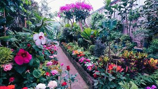 Un paseo por el mercado de plantas y flores en Viveros Coyoacán Ciudad de México 🇲🇽 [upl. by Anileve]