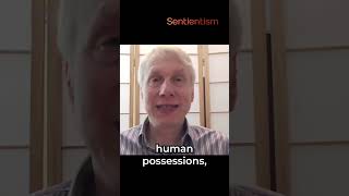 quotWe need better storiesquot Arran Stibbe 🤩 on Sentientism Ep211 theuniofglos arranstibbe5937 [upl. by Orlanta486]