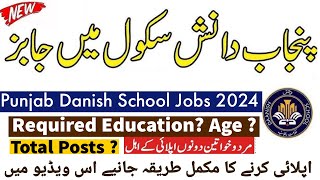 Punjab Danish School New Jobs 2024 Announced  Punjab Danish School amp Center Of Excellence Jobs 2024 [upl. by Bbor]