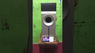 subwoofer aktif polytron SWF 168H [upl. by Akeylah]