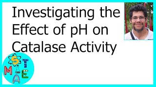 Investigating the Effect of pH on Catalase Activity [upl. by Balch]