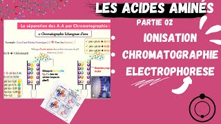 📣Acides Aminés  Ionisation Electrophorèse Chromatographie CHROMATOGRAPHYAMINOACIDS [upl. by Steffane542]