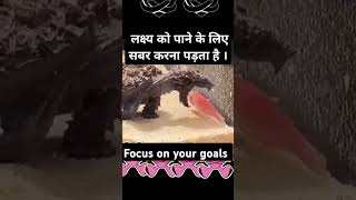 Focus on your goalsviralreels facts aivoice shortsvideo popular trending motivation [upl. by Iznik]