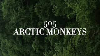 505arctic monkeyslyrics [upl. by Eboj904]