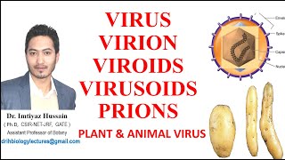 Virus Virion Viroids Virusoids Prions Difference between plant and animal virus [upl. by Raskin908]