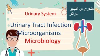 Urinary Tract Infection  Microbiology هتخرج مزاكر المحاضره [upl. by Dolly]