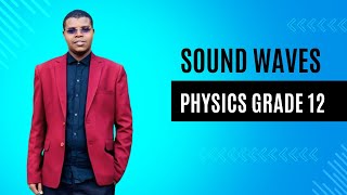 12th Class  Physics  Chapter 3  Sound Waves  Lec01 [upl. by Hennessy685]