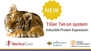 TiGer Teton system for Inducible Protein Expression  InvivoGen [upl. by Htessil485]