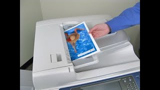 Xerox Printer from Pulls the Wrong Size Paper 11x17tabloid from the Document Handler on Copies [upl. by Araeic732]