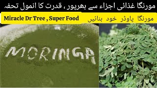 Moringa Powder  Drumstick Leaves Powder  How To Make Moringa Powder [upl. by Jami431]