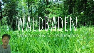 Veränderung LEBEN  WALDBADEN [upl. by Emolas]