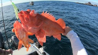 FIRST TIME Driving to FARALLON ISLANDS  Rockfish Lingcod Fishing [upl. by Eizus]