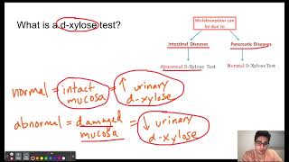 DXylose test [upl. by Aninahs]