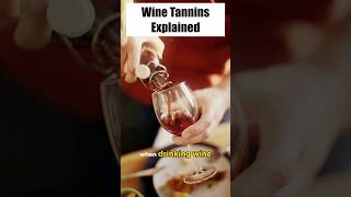 What is Wine Tannin [upl. by Wes]