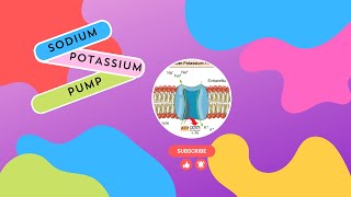 Sodium Potassium Pump in bioinorganic chemistry chemistry [upl. by Daria]