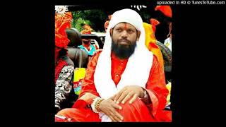 Mallinath Maharaj Nirgudi New Songs [upl. by Rubie793]