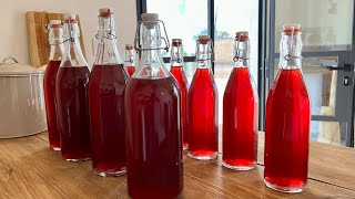 Italian Rosé WINE  how to make it at home [upl. by Amada517]