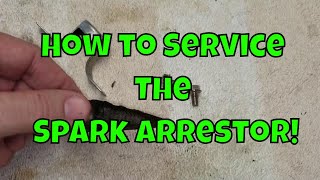 How to Service the Spark Arrestor Harbor Freight Predator 3500W GeneratorA Quick Fix [upl. by Ramhaj]