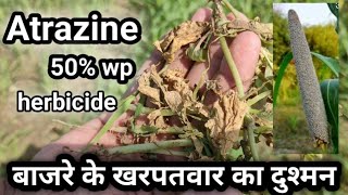 Atrazine 50 wp Herbicide full information I बाजरे के खरपतवार का दुश्मन [upl. by Elton]