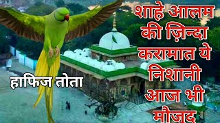 Story of Shahe Alam Sarkar  Ahmedabad Gujrat Dargah  तोते को एक नज़र में हाफिज बनाया Zinda Karamat [upl. by Eizdnil]